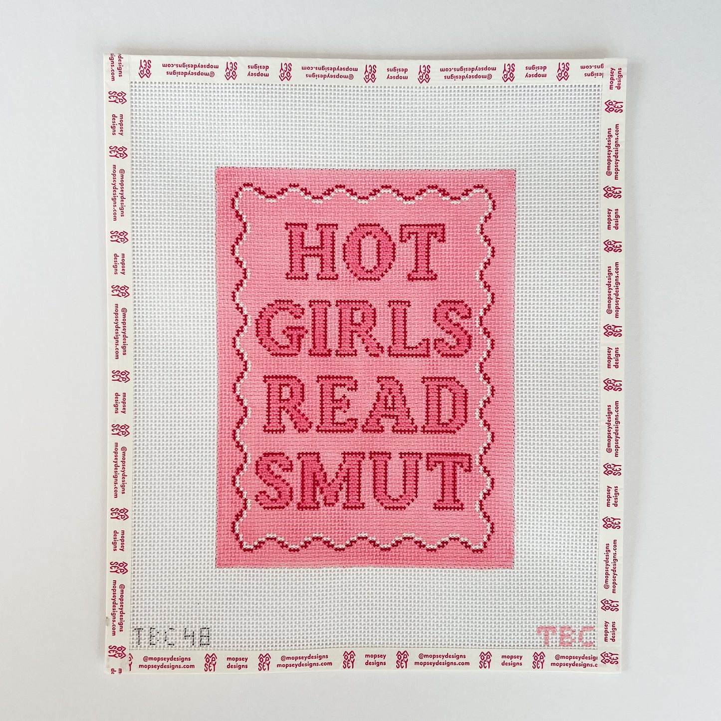 The Book Canvas: Hot Girls Read Smut Kindle Cover